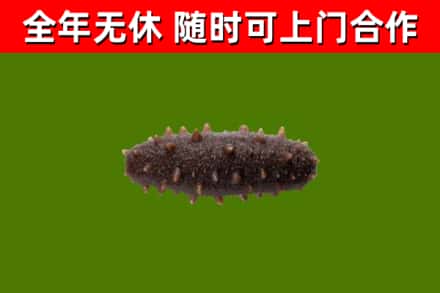 洪山区烟酒回收干海参.jpg